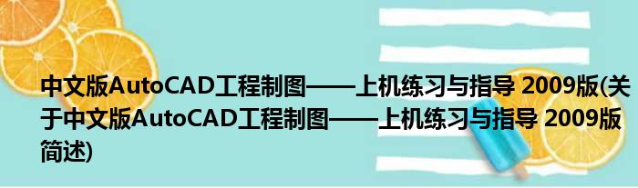中文版AutoCAD工程制图——上机实习与教育 2009版(对于中文版AutoCAD工程制图——上机实习与教育 2009版简述)