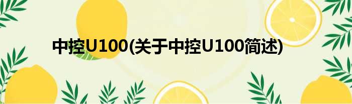 中控U100(对于中控U100简述)