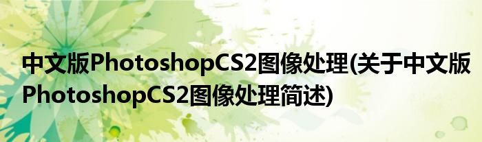 中文版PhotoshopCS2图像处置(对于中文版PhotoshopCS2图像处置简述)