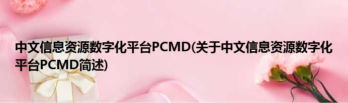 中文信息资源数字化平台PCMD(对于中文信息资源数字化平台PCMD简述)