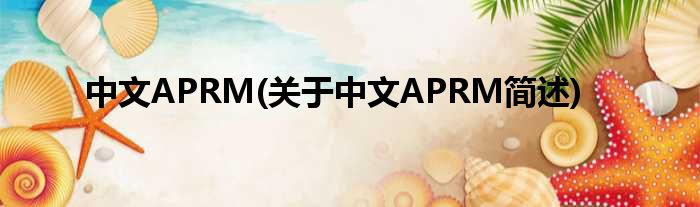 中文APRM(对于中文APRM简述)