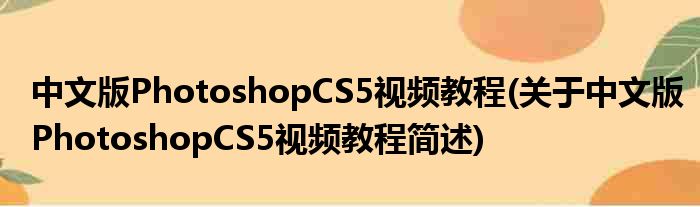 中文版PhotoshopCS5视频教程(对于中文版PhotoshopCS5视频教程简述)