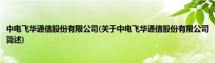 中电飞华通讯股份有限公司(对于中电飞华通讯股份有限公司简述)