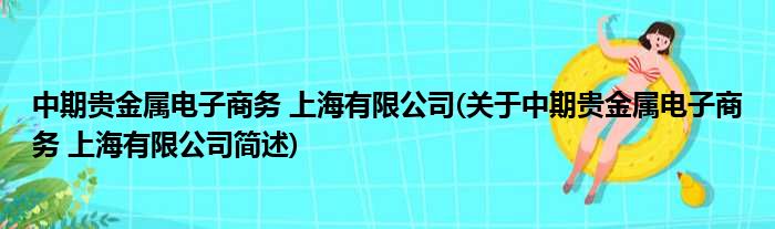 中期贵金属电子商务 上海有限公司(对于中期贵金属电子商务 上海有限公司简述)