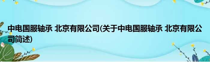 中电国服轴承 北京有限公司(对于中电国服轴承 北京有限公司简述)