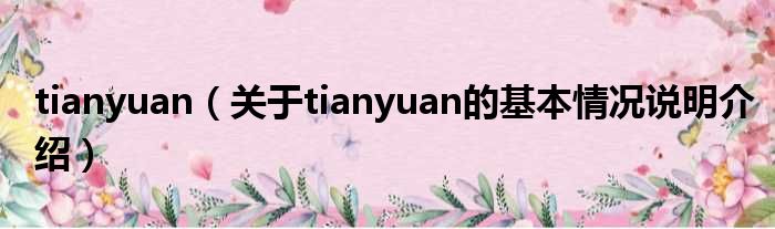 tianyuan（对于tianyuan的根基情景剖析介绍）