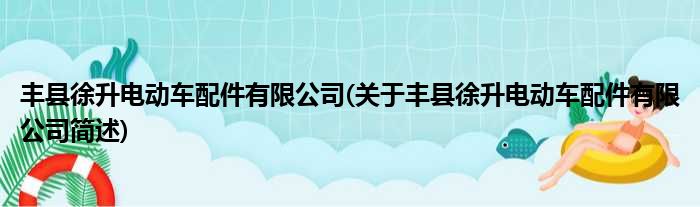 丰县徐升电动车配件有限公司(对于丰县徐升电动车配件有限公司简述)