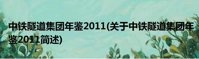 中铁隧道总体年鉴2011(对于中铁隧道总体年鉴2011简述)