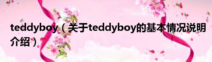 teddyboy（对于teddyboy的根基情景剖析介绍）