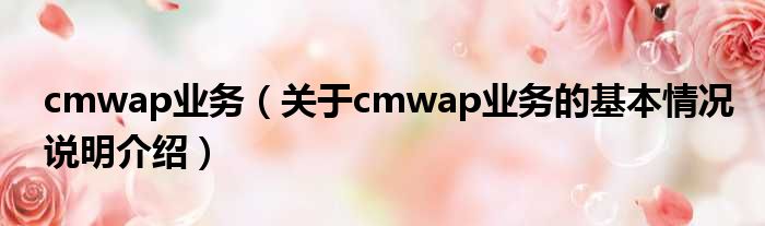 cmwap营业（对于cmwap营业的根基情景剖析介绍）