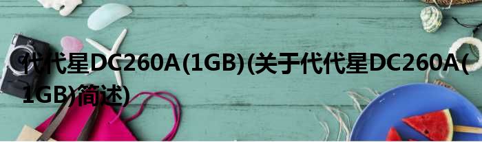 代代星DC260A(1GB)(对于代代星DC260A(1GB)简述)