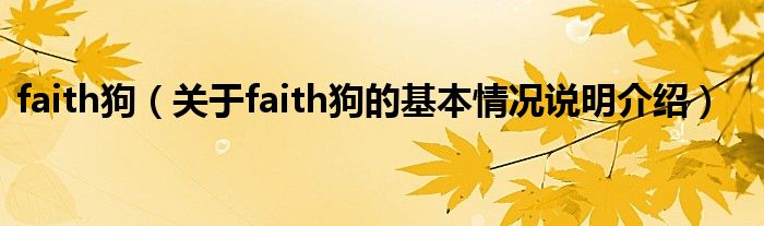faith狗（对于faith狗的根基情景剖析介绍）