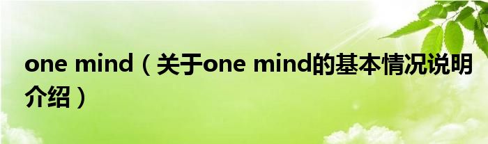 one mind（对于one mind的根基情景剖析介绍）