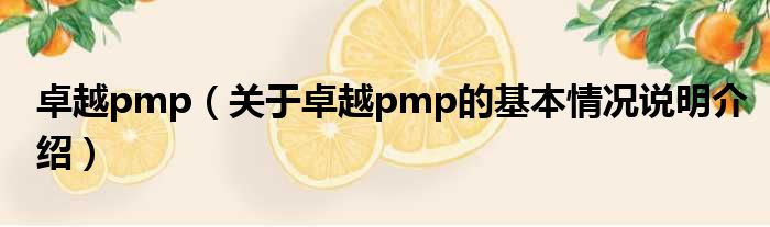 卓越pmp（对于卓越pmp的根基情景剖析介绍）