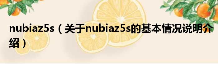 nubiaz5s（对于nubiaz5s的根基情景剖析介绍）